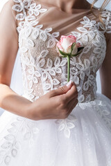 Obraz na płótnie Canvas rose in hand of the bride