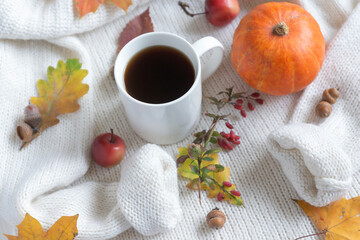 A cup of hot coffee and colorful autumn leaves and much more, a cozy warm look. Hello, Autumn.