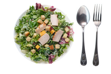 Plate of traditional Caesar salad with chicken and cheese