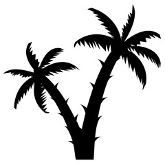 Fototapeta na wymiar Long trunk palm tree 