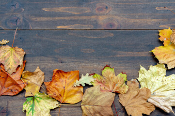 Obraz premium Autumn leaves on a wooden table. Background