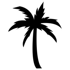 
Shady tropical tree grown in hot weather
