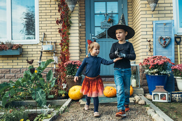Fototapeta premium Happy brother and sister sitting near the porch countryhouse with pumpkins in costumer hats. Happy halloween. Halloween kids.