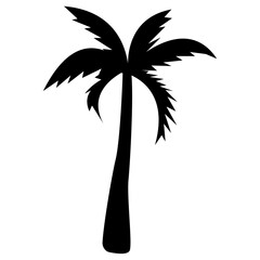 
Shady tropical tree grown in hot weather
