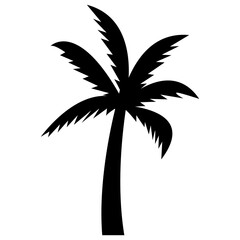 
Shady tropical tree grown in hot weather
