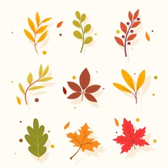 Pack of different autumn leaves