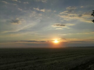 sunset over the field