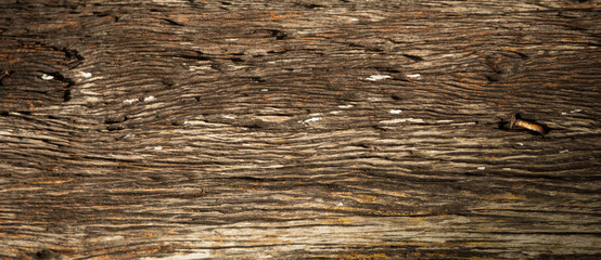 Panorama and close-up view of lumber bark with orange and rusty nail shows beautiful detail and color on the surface with lighting and shade. It can be used as background and backdrop