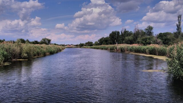 river in the parck