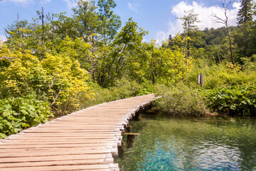 Fototapeta na wymiar Steg in die Natur (Plitvicer Seen)