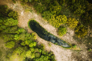 Belarus. Aerial View Of Dry Grass And Small Bog Marsh Swamp Wetland Landscape In Spring Day. High Attitude View. Marsh Bog. Bird's Eye View
