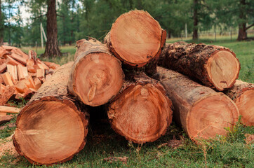 round wood logs. dry chopped Firewood is stacked in autumn. Chopped pile of wood. Lots of wood from logs. Preparation of firewood for the winter. Trees in the sawmill in village mountains