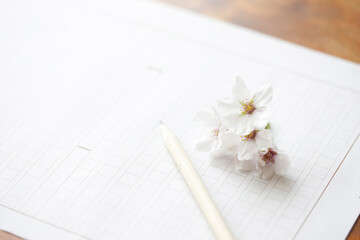 Fototapeta na wymiar 原稿用紙と桜の花