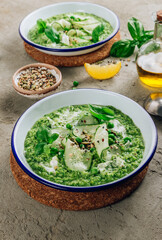 Cold green soup Gazpacho with cucumber, green peas, basil leaves and avocado. Concrete bsckground. Selective focus