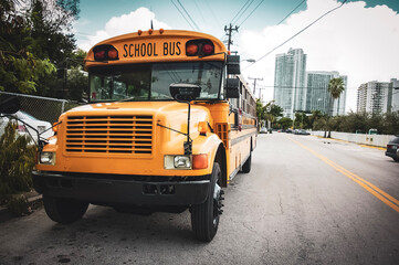 school bus on the street