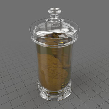 Vintage jar with lungs organ