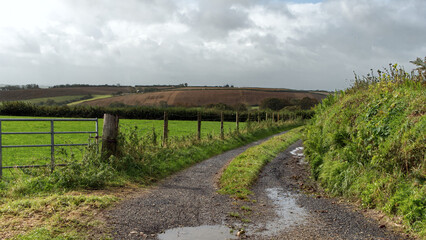 Fototapeta na wymiar Rural roads just after the rain 