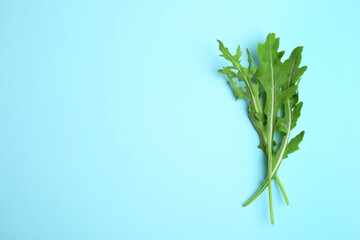 Fresh arugula on light blue background, flat lay. Space for text