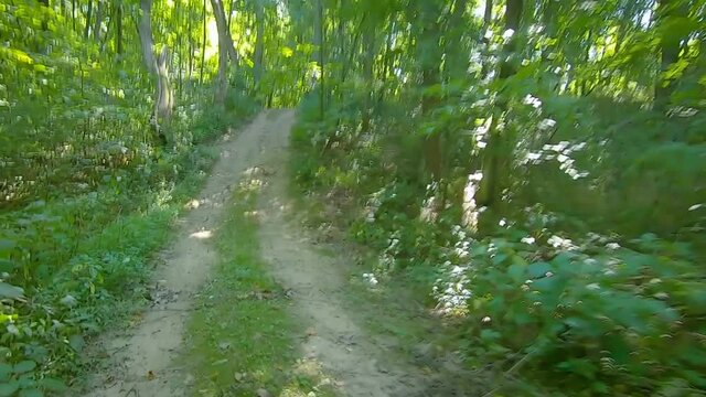 Double time, point of view while driving an off road vehicle on a trail thru the woods on a summer adventure