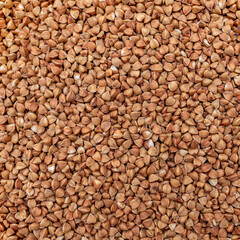 Buckwheat as a background. Buckwheat close up.