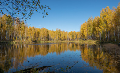 Forest lake in autumn and fallen leaves on the water