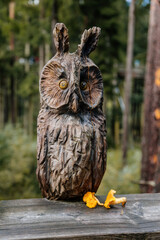 Figurine of an owl carved from wood and chanterelles. Treetop Walkway (Stezka korunami stromu)...