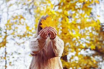 Happy girl playing with leaf, looking at camera and smilling. Autumn portrait woman hides her face yellow maple leaf. Autumn walk. Selective focus