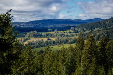 Fototapeta na wymiar Panorama of Sumana national park (Kramolin and Slupecny Vrch) from Treetop Walkway, Lipno nad Vltavou, South Bohemia, Czech Republic