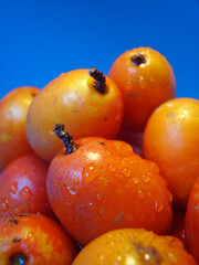 Jacote or Hog Plum (Spondias purpurea), tropical fruits 