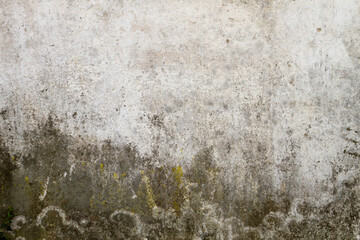 Old wall with damp