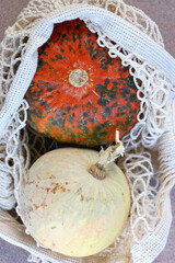 Mesh bag with two different pumpkins. Top view.