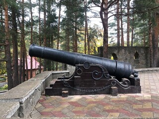 cannon at the fortress