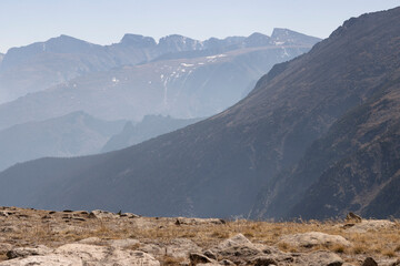 Alpine Glory on Trail Ridge Road Colorado
