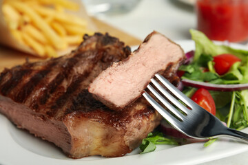Grilled steak with fresh salad on white plate, closeup