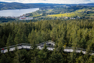 View of Lipno Dam and Sumana national park from Treetop Walkway, Lipno nad Vltavou, South Bohemia,...