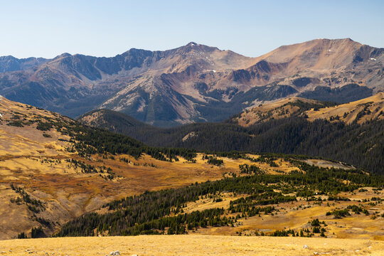 Alpine Glory On Trail Ridge Road Colorado