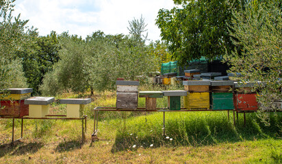 Colored beehives for honey production.