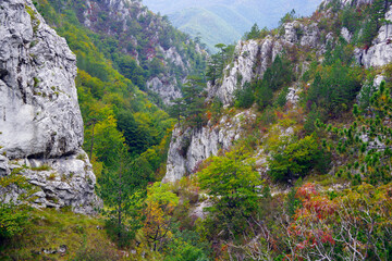 Tesnei Gorges landscape in the protected area of Herculane, Romania