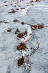 Utakleiv beach, Lofoten Archipelago, Nordland county, Norway, Arctic Circle, Europe