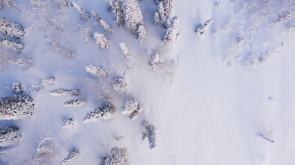 Aerial view from drone of frozen snowy peaks of endless coniferous forest trees in Lapland National park environment, bird’s eye top view of famous natural landmark in Riisitunturi on winter season