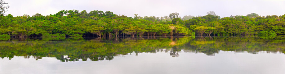 Fototapeta na wymiar Amazonas, Brazil: Sailing on the Amazon River