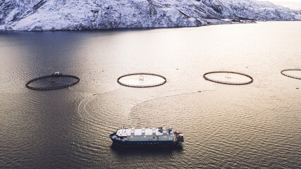 Salmon fish farming in Norway sea. Food industry, traditional craft production, environmental conservation. Aerial view of round mesh for growing and catching fish in arctic water surrounded by fjords © BullRun