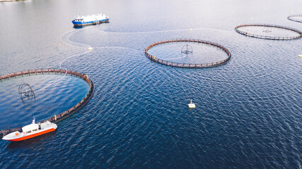 Salmon fish farming in Norway sea. Food industry, traditional craft production, environmental conservation. Aerial view of round mesh for growing and catching fish in arctic water surrounded by fjords