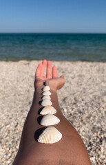 a woman's hand on which lies a row of seashells