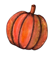 hand drawn watercolor pumpkin 