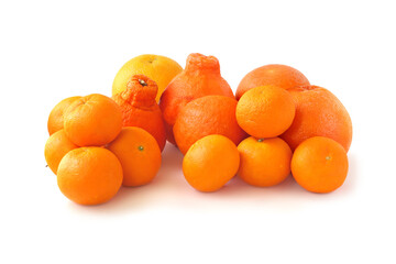Citrus: mineola, grapefruit, orange and tangerines isolated on white