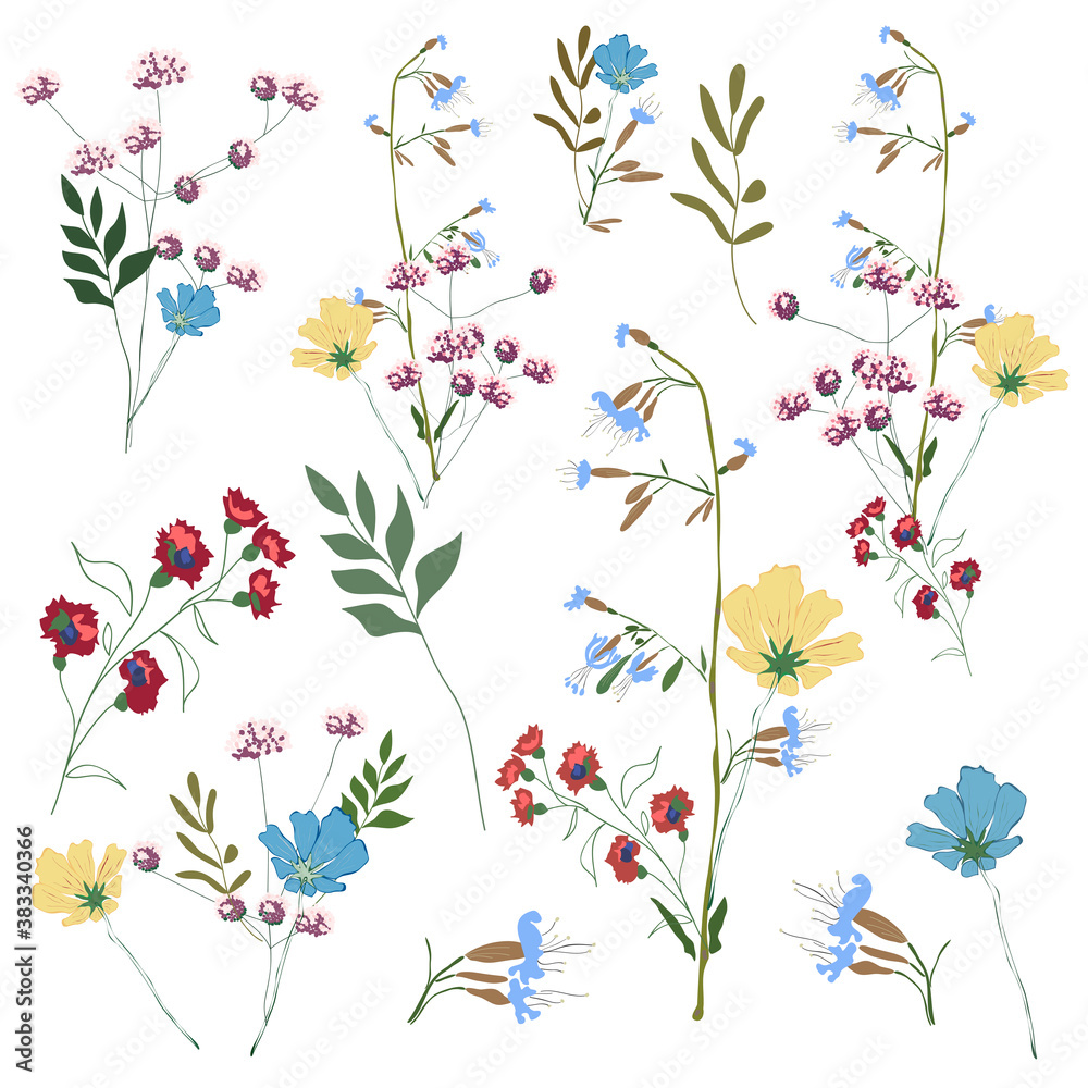 Wall mural hand drawn flower collection. various flowers from fields and meadows in bouquets. big set botanic b