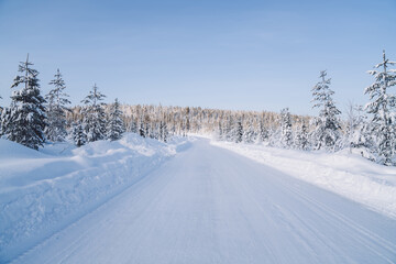 Fototapeta na wymiar Vast road on snowy lands near forest in national park environment with tall firs on sunny day, scenery of beautiful northern landscape getaway in winter