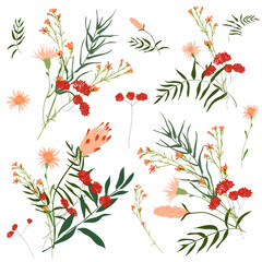 Hand drawn flower collection. Various flowers from fields and meadows in bouquets. Big set botanic branches, leaves, foliage, herbs, wild plants. Bloom vector illustration isolated on white background