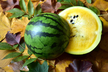 Two halves of yellow watermelon on a table covered with autumn leaves